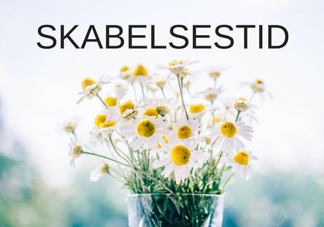 Skabelsestid