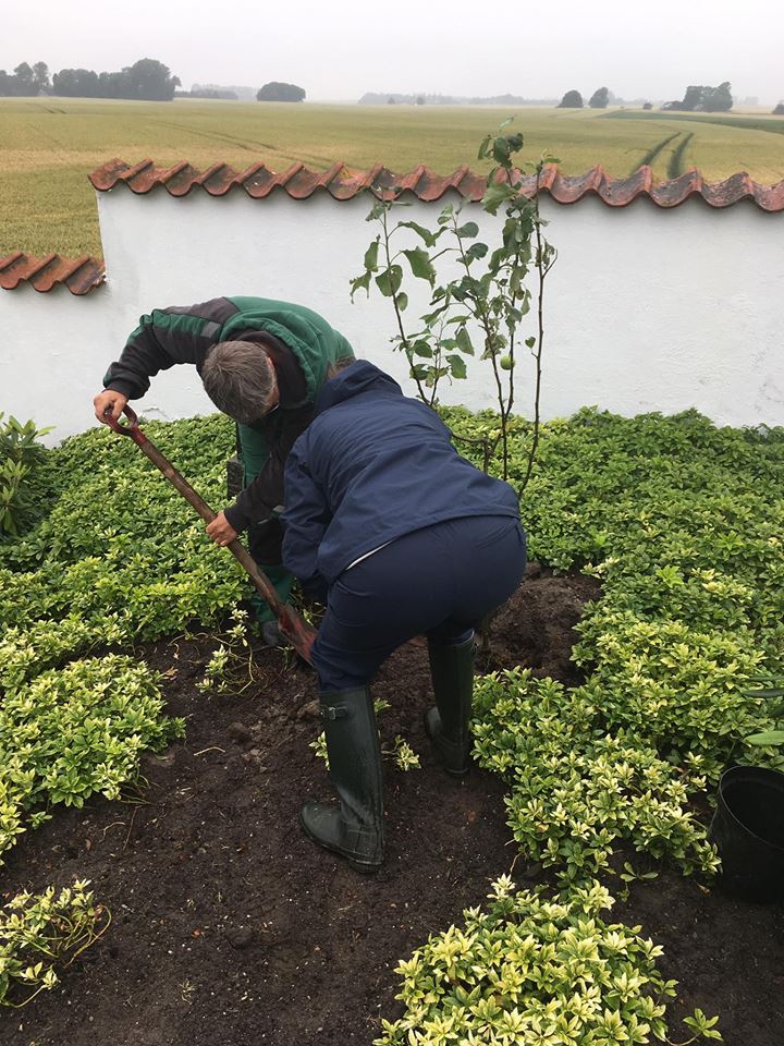 Plant Håb i Lille Fuglede Kirke