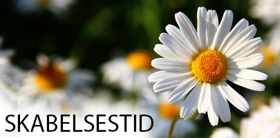 skabelsestid_405X200