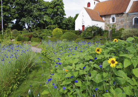 Blomsterflor Mesing kirke